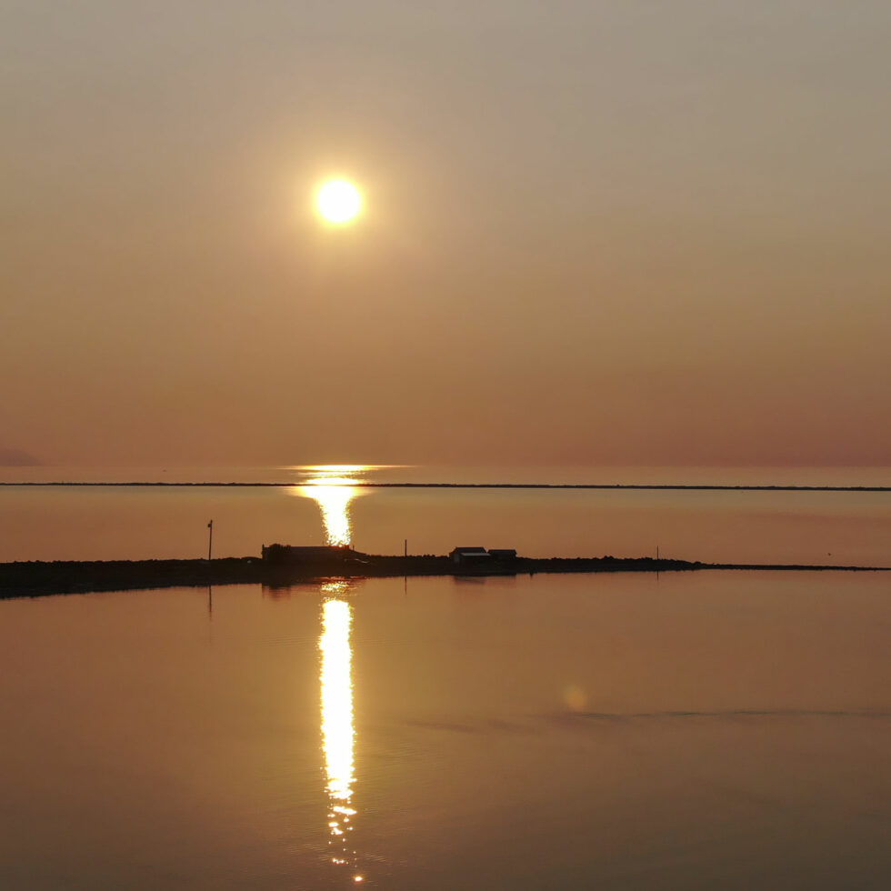 Dungeness Spit | NatureEye